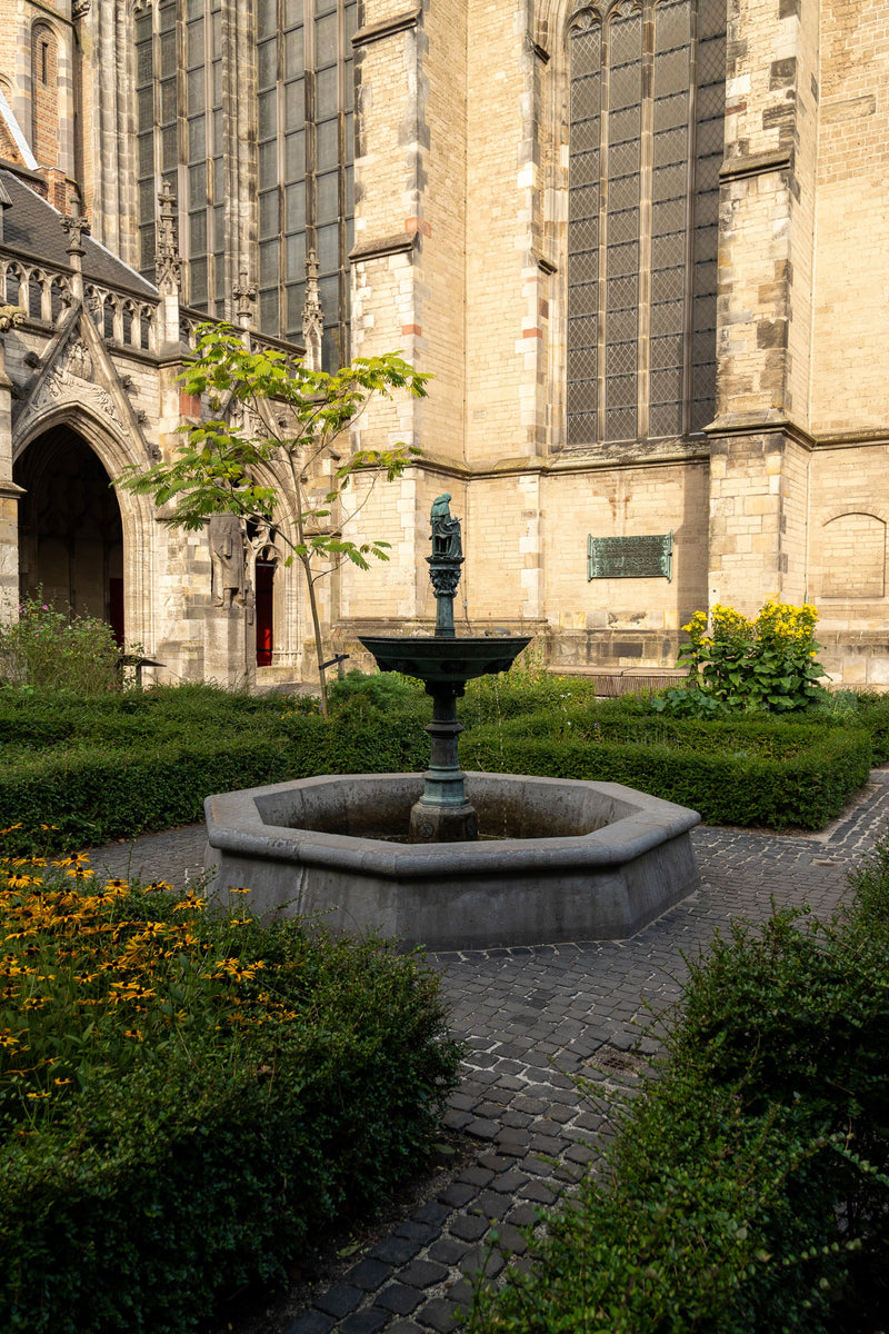 In Search of the Kind of Place: The Monastery Gardens